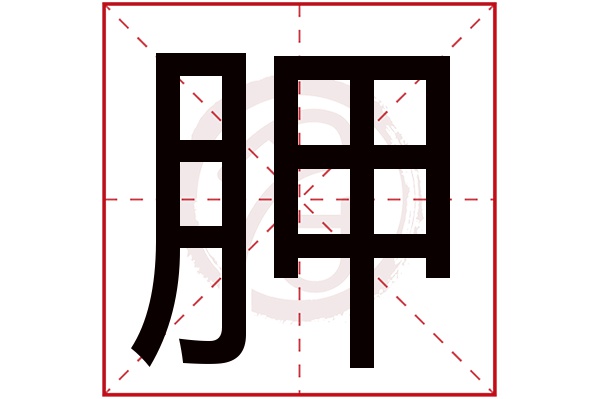 胛字