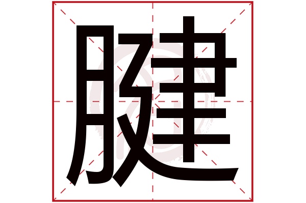 腱字